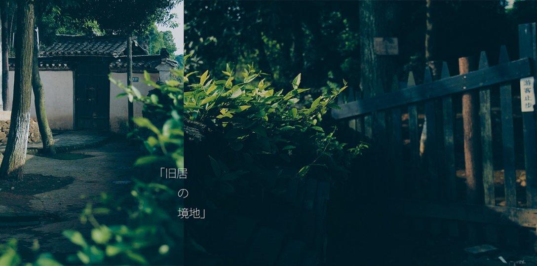 燃烧吧大脑免广告最新版