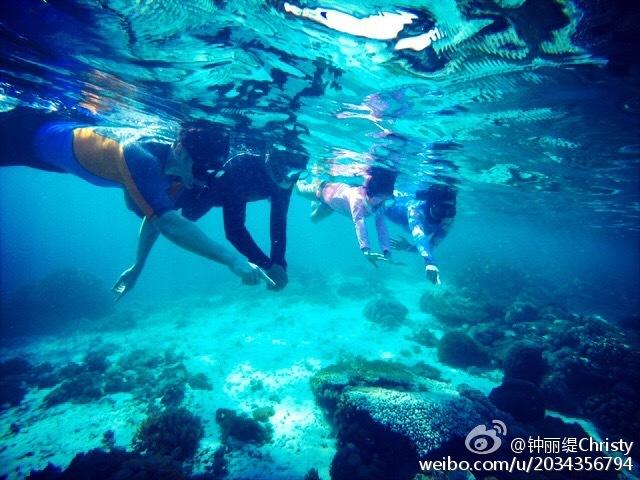 新忍出击