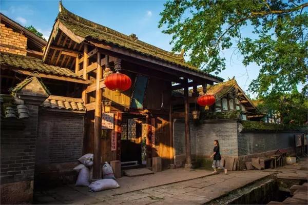 动物帮帮忙保卫家园