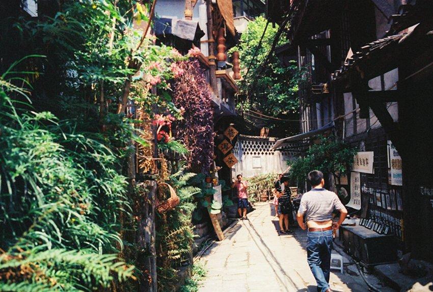 阴暗森林